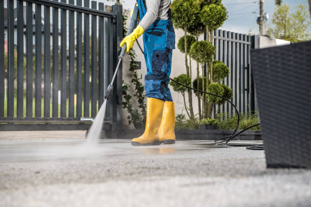 Best Roof Power Washing Services  in Fairfax, MN